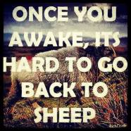 Once you awake, it's hard to go back to sheep